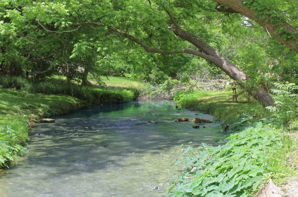 Son's Geronimo Birdhouse Cabins